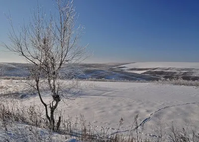 Зимний пейзаж: Природные обои для твоего экрана