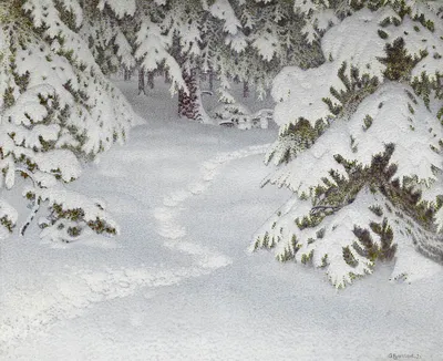 Снежные абстракции: Фотографии, где зима становится искусством