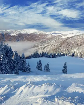 HD изображения зимнего пейзажа для скачивания
