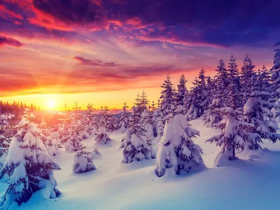 Зимние обои с пейзажами: скачать бесплатно в разных форматах