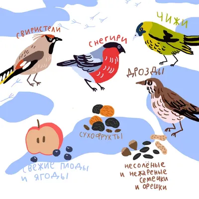 Морозное волшебство: Зимующие птицы Хабаровского края в объективе