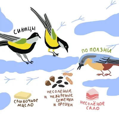 Ледяные крылья природы: Зимующие птицы Хабаровского края