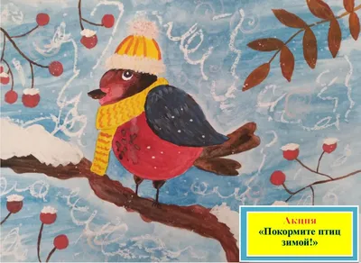 Зимняя сказка в объективе: Фотографии зимующих птиц Хабаровска