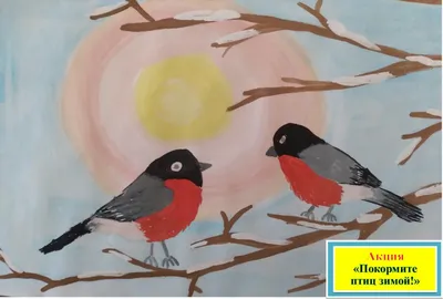 Ледяной край: Зимующие птицы Хабаровска в великолепии