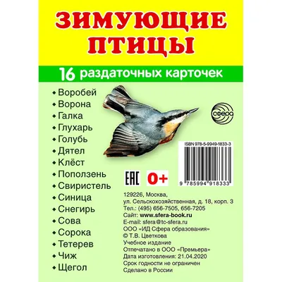 Зимные птицы кировской области: великолепные изображения различных форматов