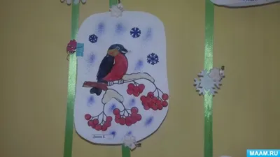 Картинки зимующих птиц: скачать в JPG формате