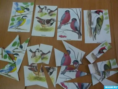 Фотка зимних птиц: разные размеры изображений (JPG)