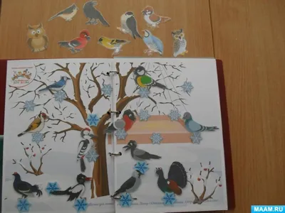 Зимний бриллиант природы: Фото зимующих птиц Ростовской области
