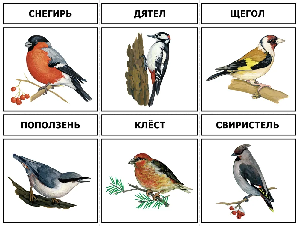 Воробьиная птичка