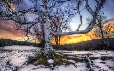 Зимние пейзажи: фотогалерея с разнообразными вариантами