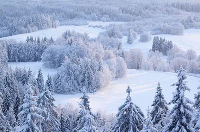Зимний фотобум: выберите размер своего зимнего снимка
