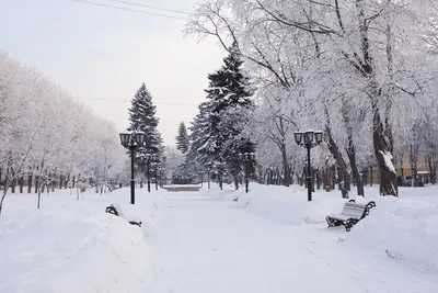 Зимы в городе  фото