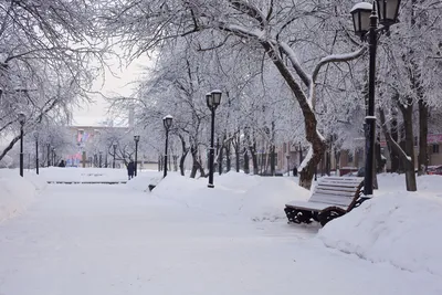 Сияние снега: Изображения зимнего города в PNG