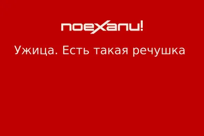 Картинки змееядов: прекрасный способ украсить ваше пространство