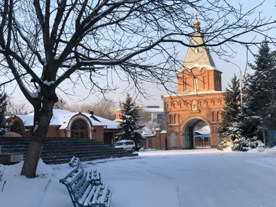 Красивая фотография змеешейки для вашей рекламы