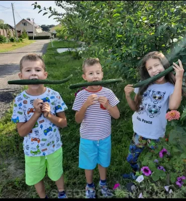 Змей искуситель фотографии