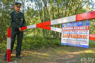 Охраняем лес: фотографии, рассказывающие историю знаков