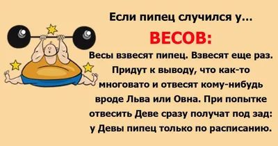 Забавные иллюстрации знаков зодиака