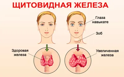 Фото зоба человека: Лучшие ракурсы и форматы