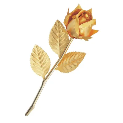 Бесплатные картинки золотой розы в разных форматах