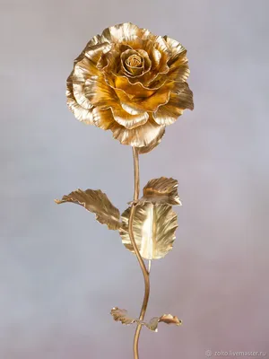 Фантастическая картина золотой розы
