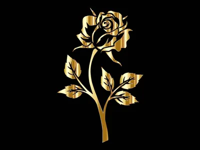 Абсолютно замечательная картина золотой розы