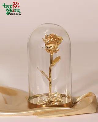 Золотая роза на фото в высокой четкости
