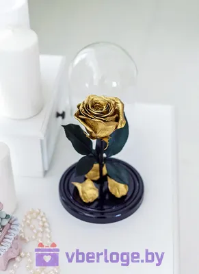 Впечатляющее изображение золотой розы