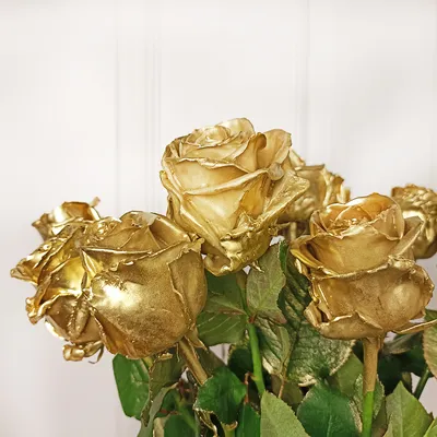 Прекрасная роза в золотых тонах