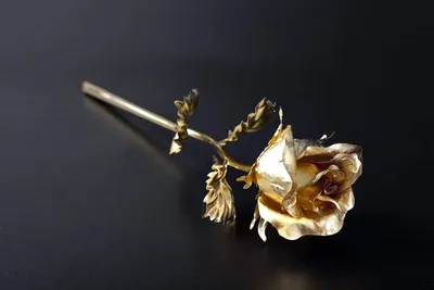 Великолепная фотка золотой розы в архиве (jpg)