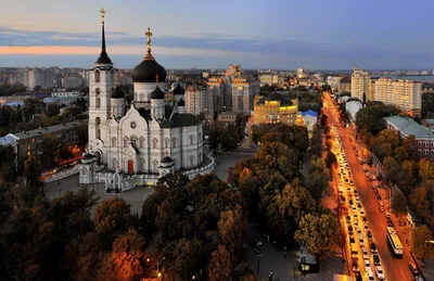 Фото дерева Золотое дерево Воронеж: мир красоты и гармонии