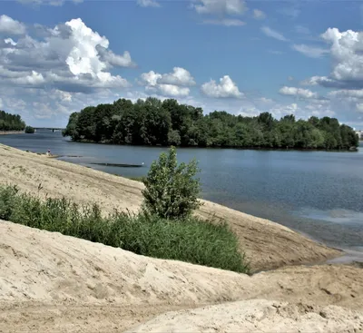 Городской сказочник: Золотое дерево Воронежа во всей своей красе