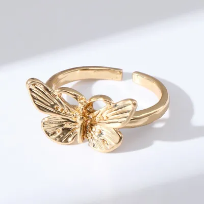 Фотография Золотого кольца бабочки с эффектом боке