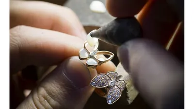 Фото Золотого кольца бабочки с эффектом обводки