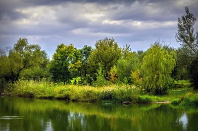 Сияние стиля: Золотой час для элегантных часов