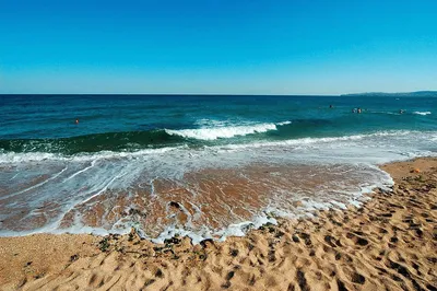 Фотографии с Золотого пляжа: встреча с удивительной природой морского берега