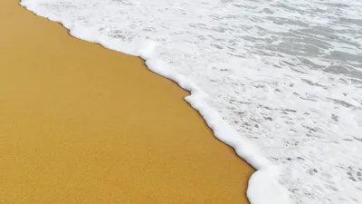 Золотой пляж: красота морского побережья в объективе фотокамеры