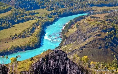 Фотографии Золотых гор Алтая: лучшие обои на телефон и рабочий стол