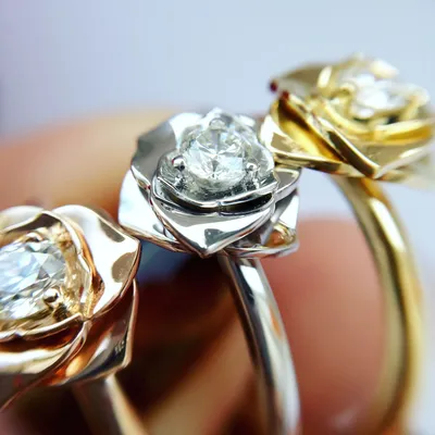 Золотые кольца с изображением розы: фото в png формате