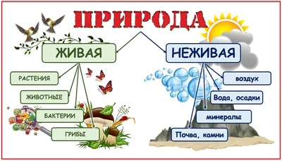 Пустыни Арктической зоны в объективе фотокамеры: удивительные кадры и истории